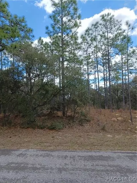 3541 E Getty Ln, Hernando, FL 34442 photo 4