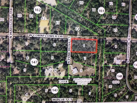 9919 N Pink Moss Pt, Crystal River, FL 34428