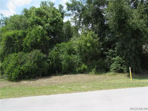 2852 N Appledore Path, Hernando, FL 34442 photo 2