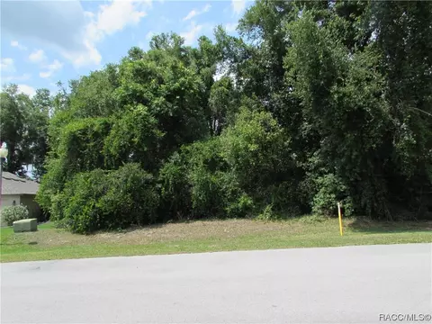 2852 N Appledore Path, Hernando, FL 34442 photo 5