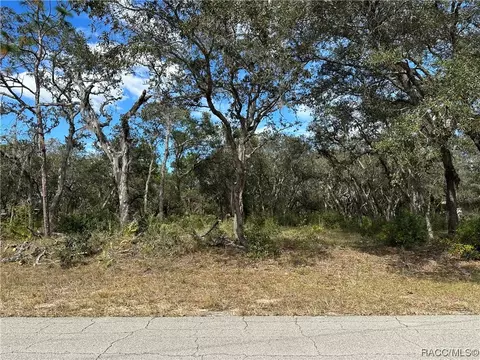 3375 W Blossom Dr, Beverly Hills, FL 34465