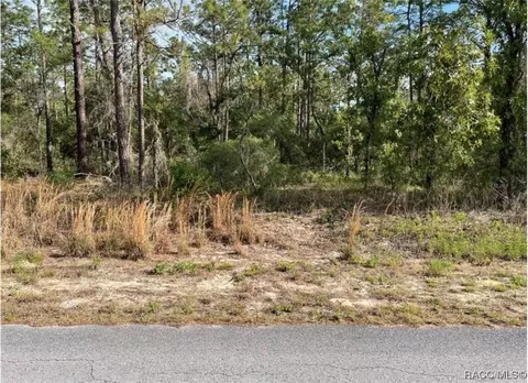 Lot 19 NW Mallard Avenue, Dunnellon, FL 34431