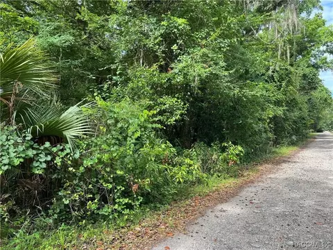 9292 E Roan Ln, Inverness, FL 34450