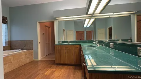 Bath - 398 W Massachusetts St, Hernando, FL 34442 photo 5 of 8