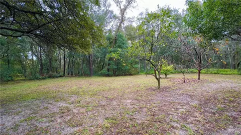 Exterior - 398 W Massachusetts St, Hernando, FL 34442 photo 20 of 30