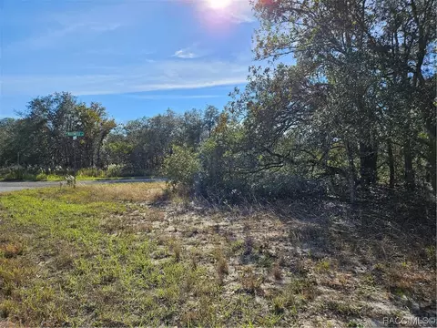 6160 N Matheson Dr, Citrus Springs, FL 34434