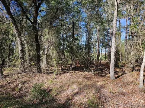 Tbd NW Falcon Avenue, Dunnellon, FL 34431