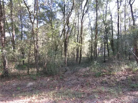 3612 E Yandle Pl, Inverness, FL 34453
