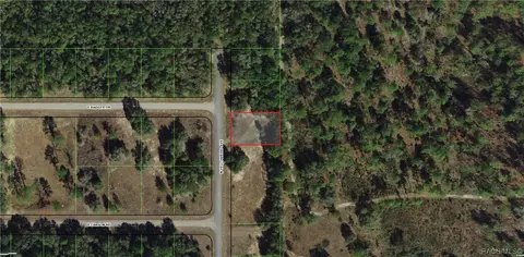 8703 N Yellow Bird Ave, Citrus Springs, FL 34434