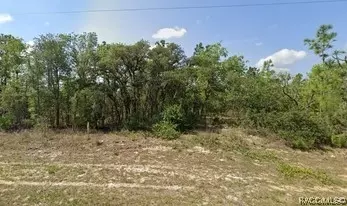 6799 N Pavilion Loop, Citrus Springs, FL 34433