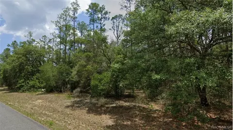 6493 N Elnora Way, Citrus Springs, FL 34433
