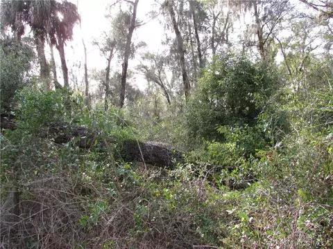 10264 S Lecanto Hwy, Lecanto, FL 34461