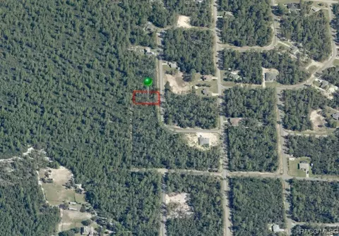 8578 N Lindhurst Cir, Citrus Springs, FL 34433