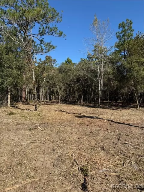 559 E Gulf To Lake Hwy, Lecanto, FL 34461