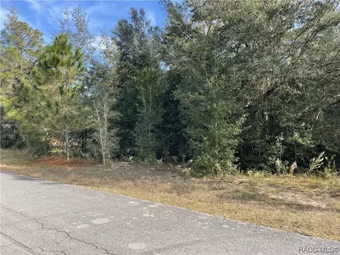 8624 N Catapane Loop, Crystal River, FL 34428 photo 2