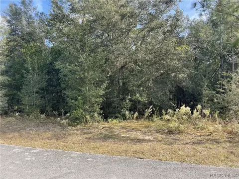 8624 N Catapane Loop, Crystal River, FL 34428 photo 3