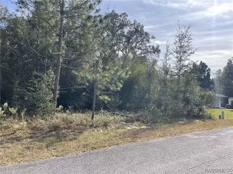 8624 N Catapane Loop, Crystal River, FL 34428 photo 5