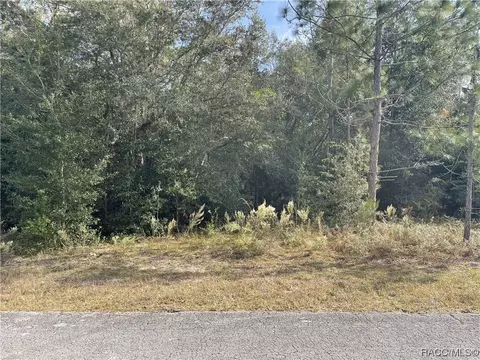 8624 N Catapane Loop, Crystal River, FL 34428 photo 4