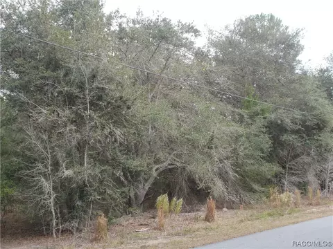1793 E Humphrey Ln, Hernando, FL 34442 photo 4