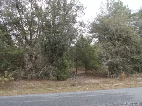 1793 E Humphrey Ln, Hernando, FL 34442