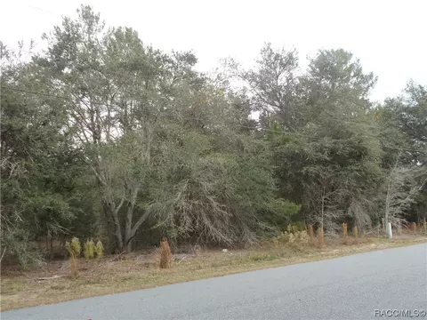 1793 E Humphrey Ln, Hernando, FL 34442 photo 2