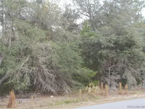 1793 E Humphrey Ln, Hernando, FL 34442 photo 3
