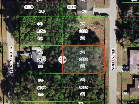 741 Shelly Ter, Inverness, FL 34450