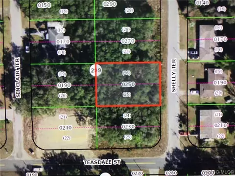 805 Shelly Ter, Inverness, FL 34450