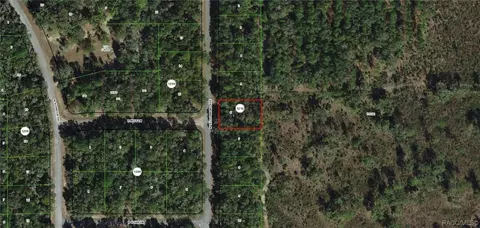 8145 N Yellowbird Ave, Citrus Springs, FL 34434