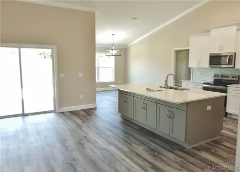 222 E Tara Ct, Hernando, FL 34442 photo 10