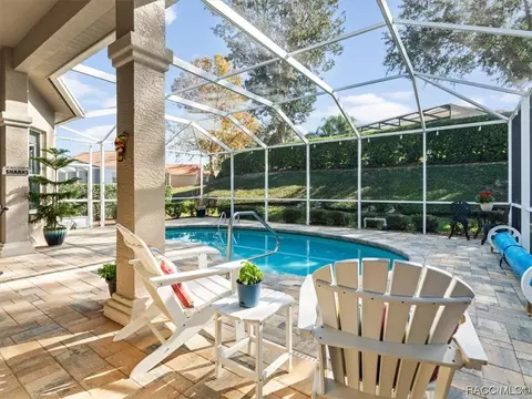 1136 W Skyview Crossing Dr #17B, Hernando, FL 34442 photo 43