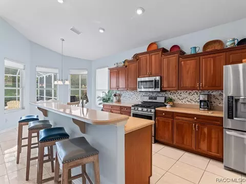 1136 W Skyview Crossing Dr #17B, Hernando, FL 34442 photo 14