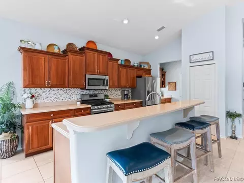 1136 W Skyview Crossing Dr #17B, Hernando, FL 34442 photo 15