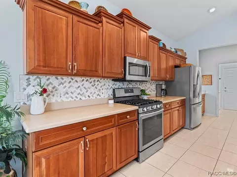 1136 W Skyview Crossing Dr #17B, Hernando, FL 34442 photo 21