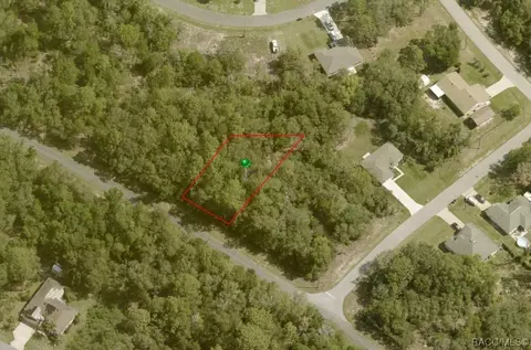 10951 N Morrell Dr, Citrus Springs, FL 34434