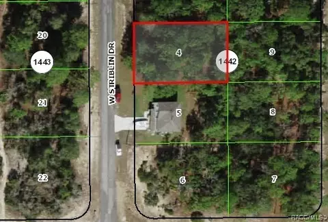 2970 W Striblin Dr, Citrus Springs, FL 34433