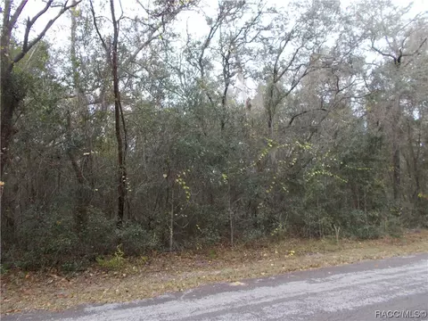 1682 E Humphrey Ln, Hernando, FL 34442 photo 5