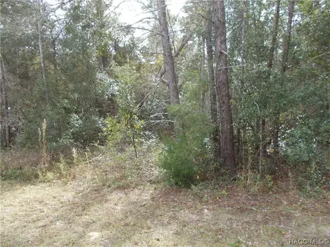 1682 E Humphrey Ln, Hernando, FL 34442 photo 2