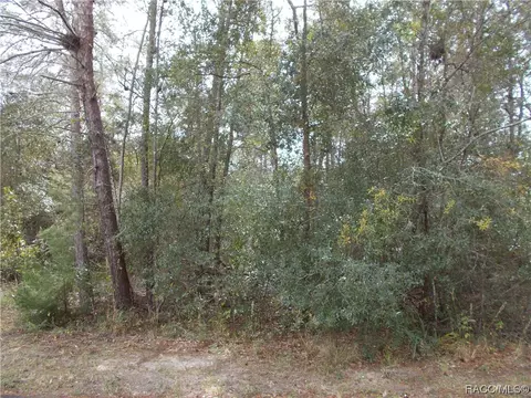 1682 E Humphrey Ln, Hernando, FL 34442 photo 4