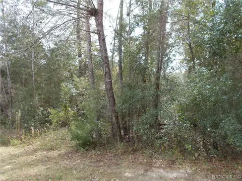 1682 E Humphrey Ln, Hernando, FL 34442 photo 3