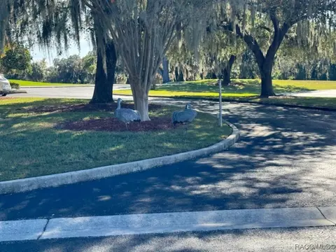 3940 E Lake Hernando Ln, Hernando, FL 34442 photo 45