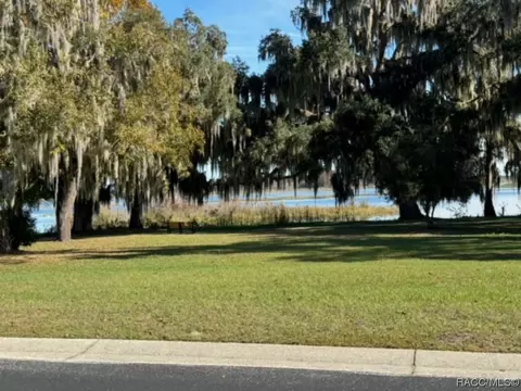 3940 E Lake Hernando Ln, Hernando, FL 34442 photo 43