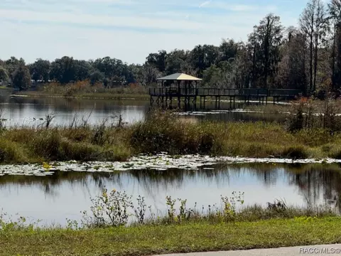 3940 E Lake Hernando Ln, Hernando, FL 34442 photo 42