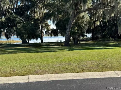 3940 E Lake Hernando Ln, Hernando, FL 34442 photo 44