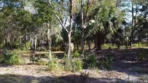 7483 W Pedersen Loop, Homosassa, FL 34446