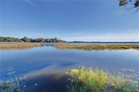 4014 E Lake Park Dr, Hernando, FL 34442 photo 42
