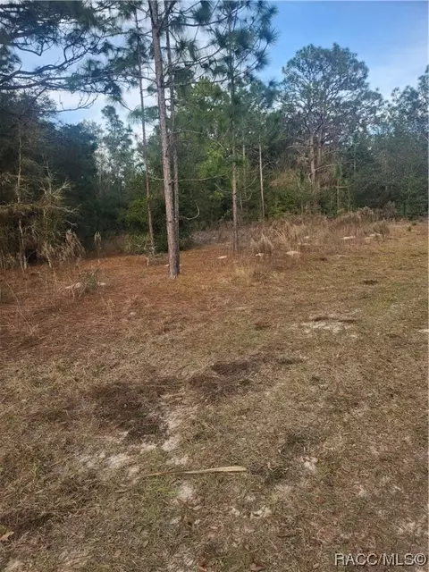 8203 W Baumgardner Ln, Crystal River, FL 34428
