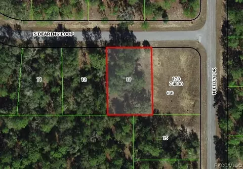 9614 N Dearing Loop, Citrus Springs, FL 34434