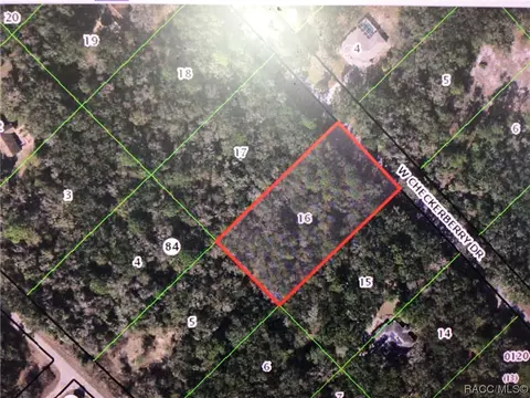 12464 W Checkerberry Dr, Crystal River, FL 34428