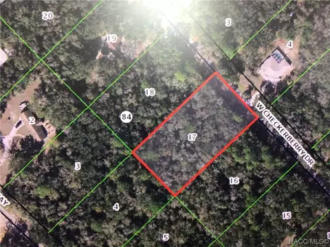 12482 W Checkerberry Dr, Crystal River, FL 34428